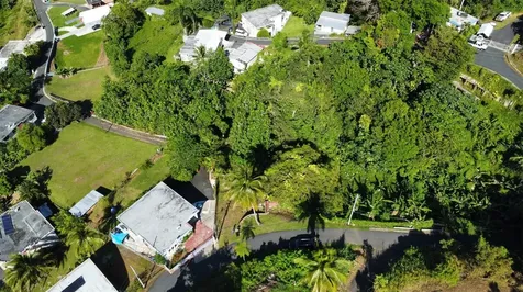 Bo. Guaraguao Sector Sanchez Mulero Bayamon PR 00956