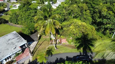 Bo. Guaraguao Sector Sanchez Mulero Bayamon PR 00956