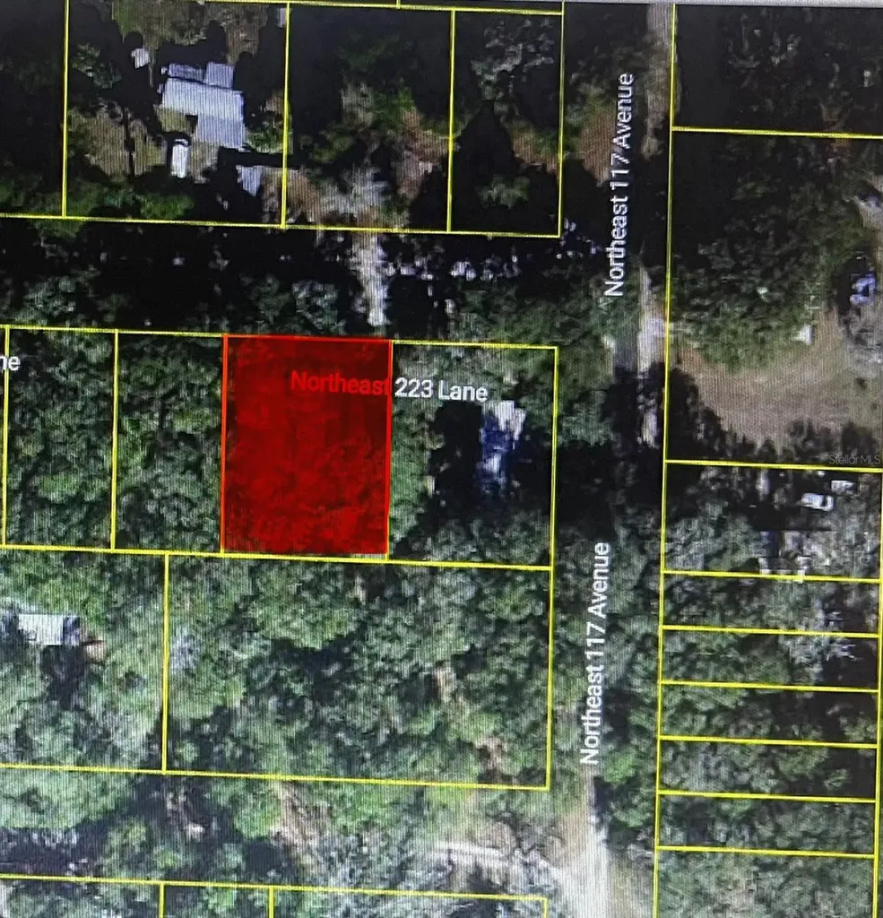 Tbd NE 223rd Lane Fort Mc Coy FL 32134