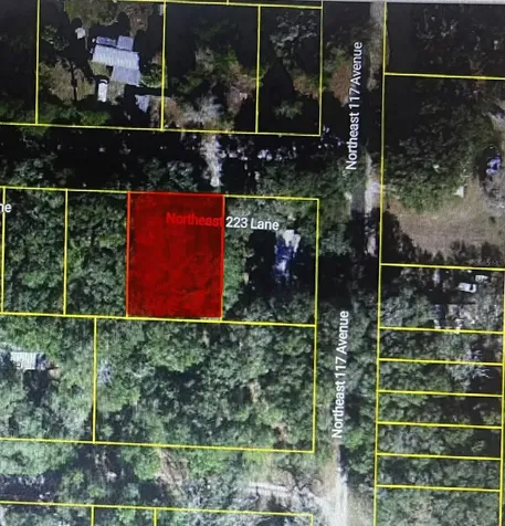 TBD NE 223rd Lane Fort Mc Coy FL 32134
