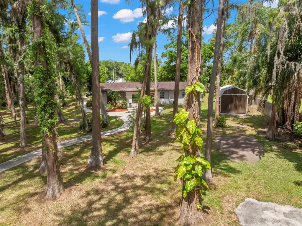 17309 N Dale Mabry Highway Lutz FL 33548