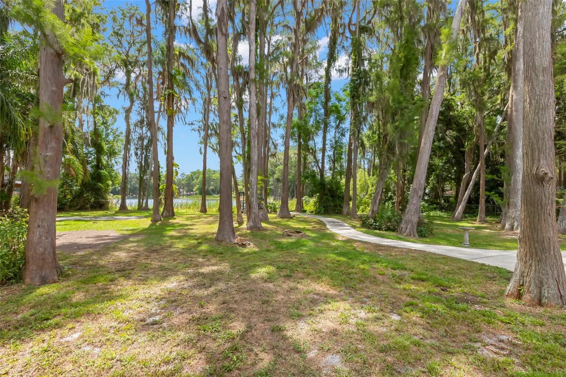 17309 N Dale Mabry Highway Lutz FL 33548