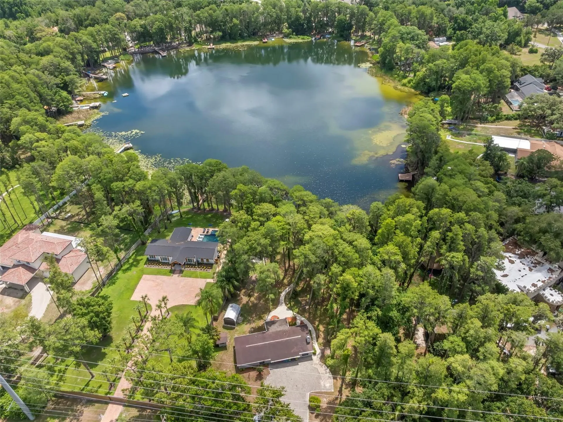 17309 N Dale Mabry Highway Lutz FL 33548