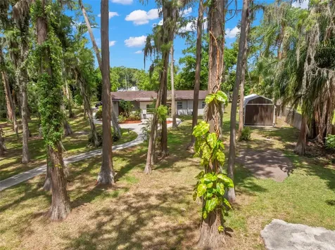17309 N Dale Mabry Highway Lutz FL 33548