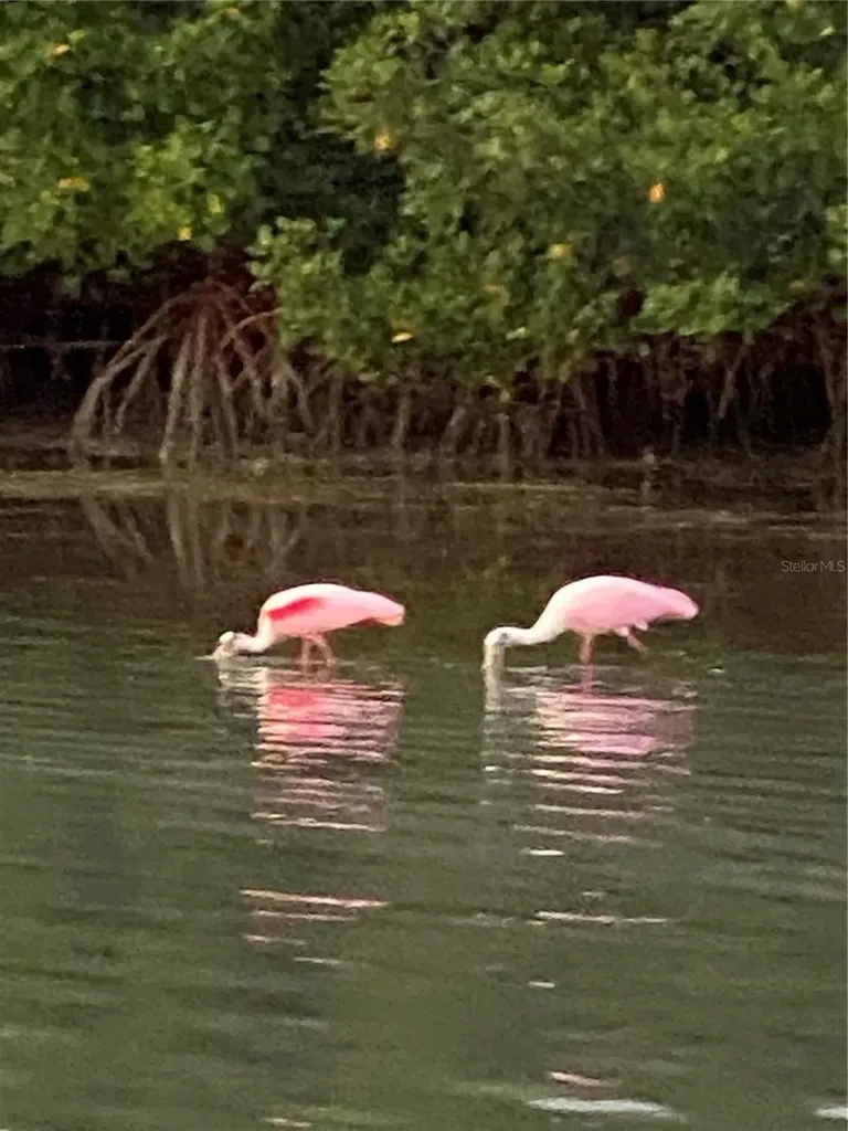 211 Rubens Drive Nokomis FL 34275