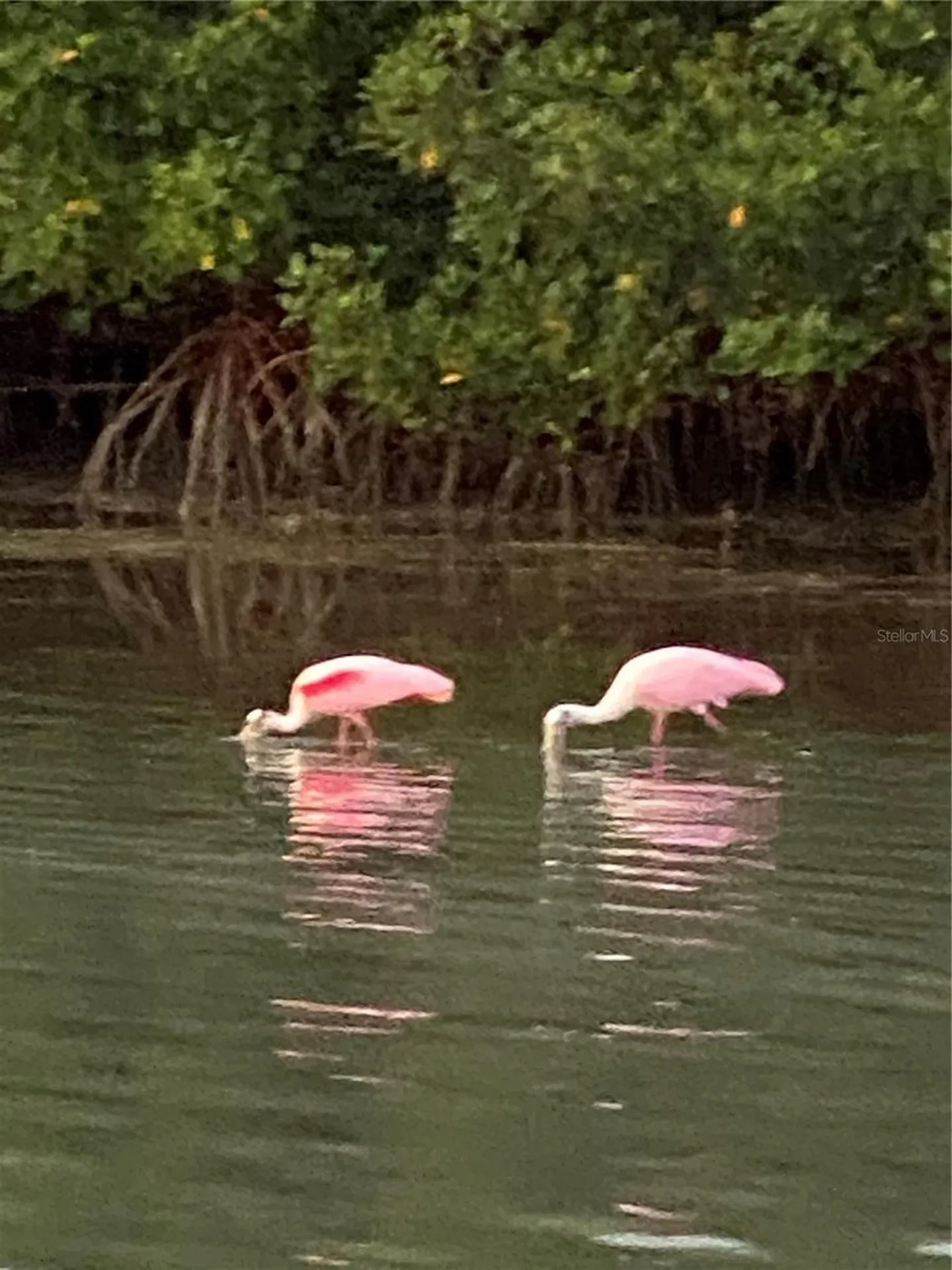 211 Rubens Drive Nokomis FL 34275