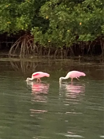 211 Rubens Drive Nokomis FL 34275
