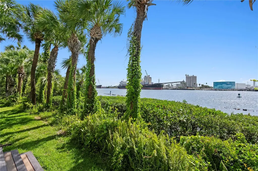 1119 Shipwatch Circle Tampa FL 33602