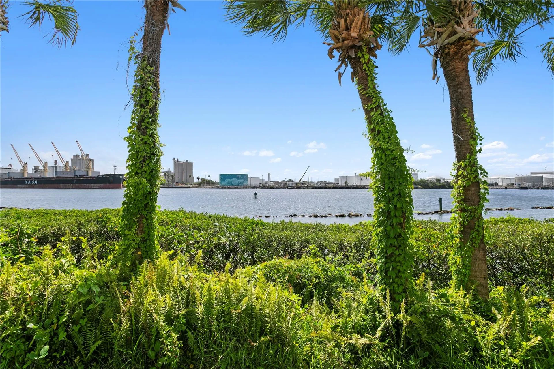 1119 Shipwatch Circle Tampa FL 33602