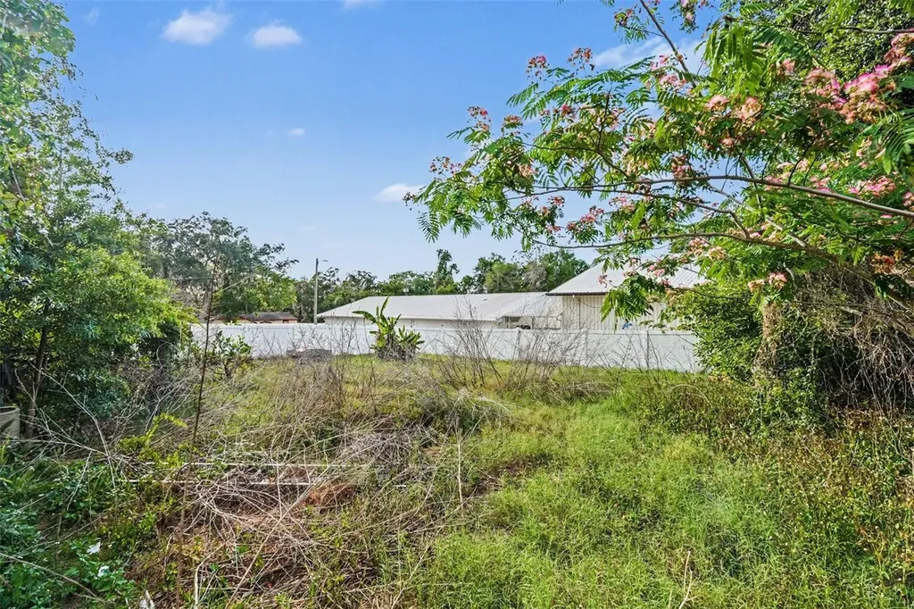 11408 Colony Hill Drive Seffner FL 33584
