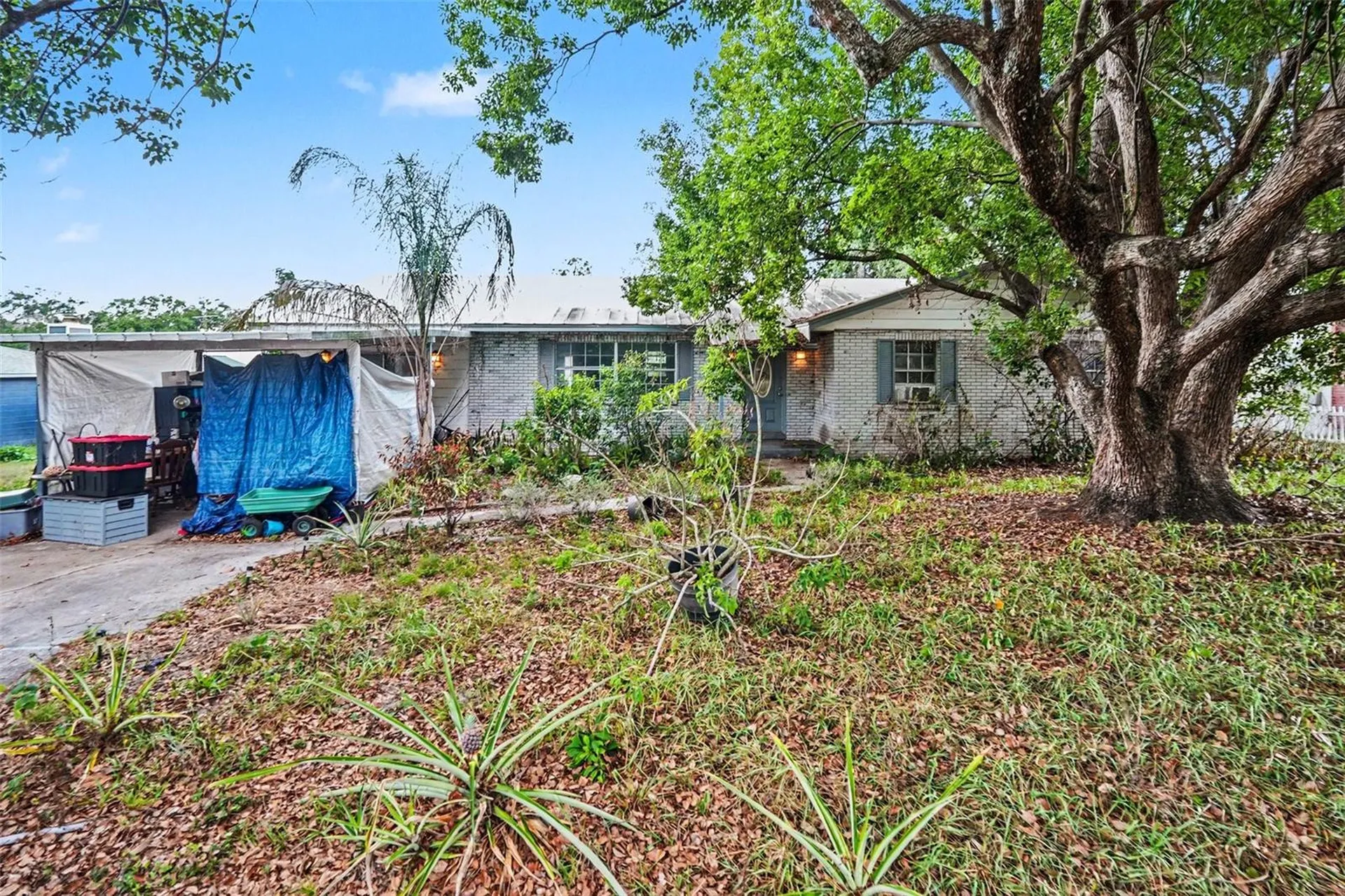 11408 Colony Hill Drive Seffner FL 33584