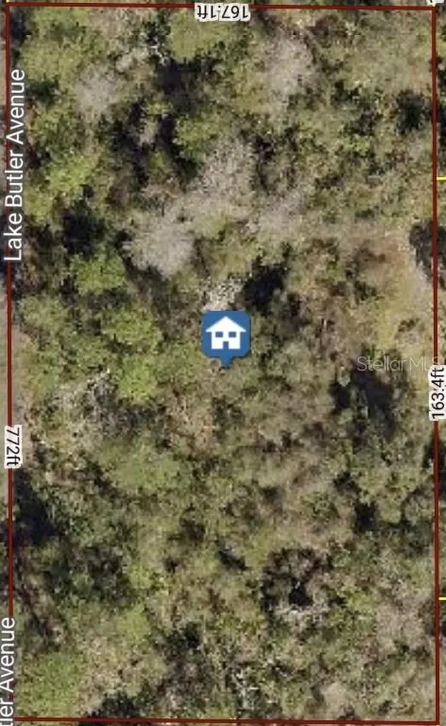 615 Lake Butler Avenue Osteen FL 32764