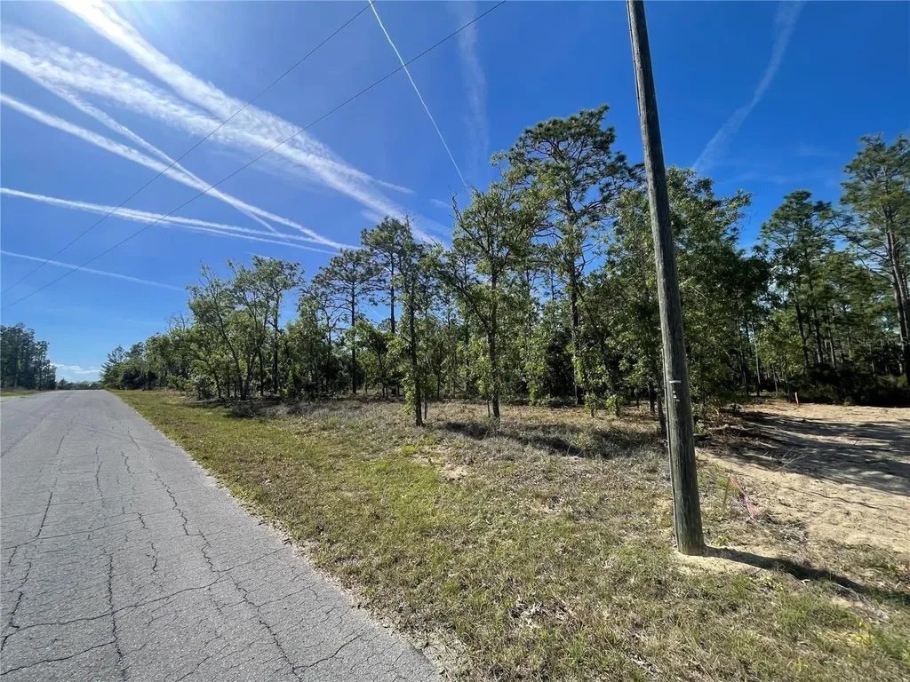 NE 7th Place Williston FL 32696