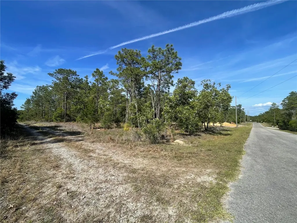 NE 7th Place Williston FL 32696