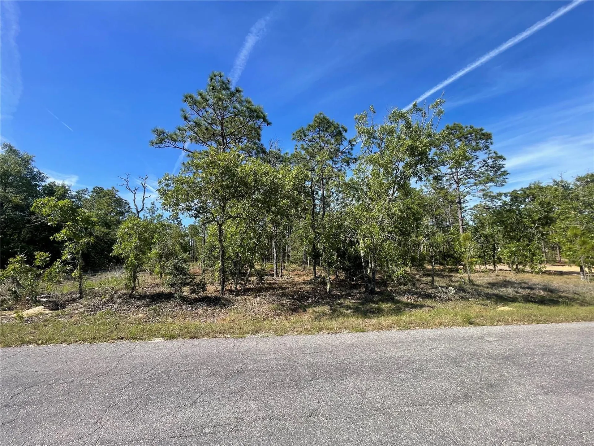 NE 7th Place Williston FL 32696