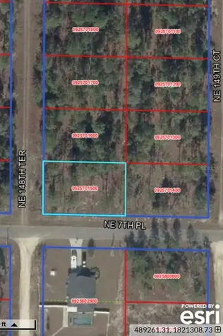 NE 7th Place Williston FL 32696