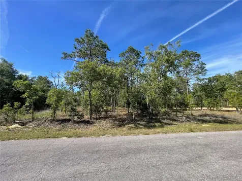 NE 7th Place Williston FL 32696