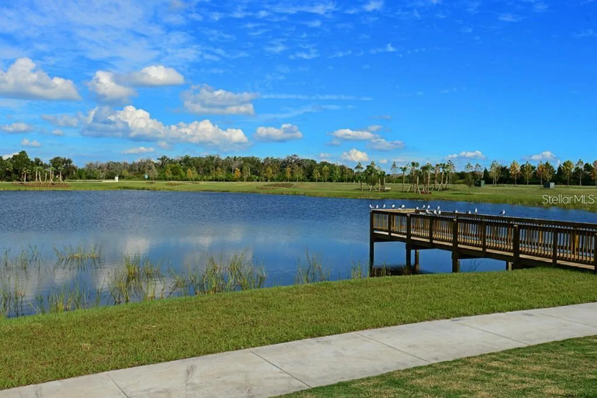 6411 Blue Sail Lane Apollo Beach FL 33572