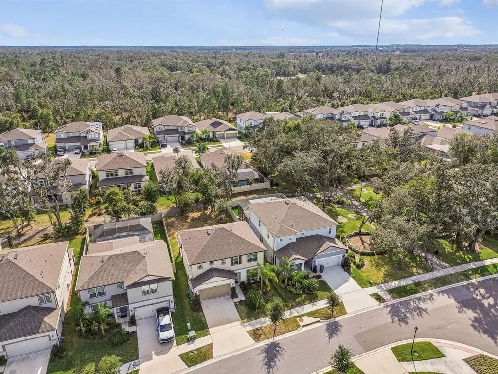 14161 Hammock Crest Way Riverview FL 33569