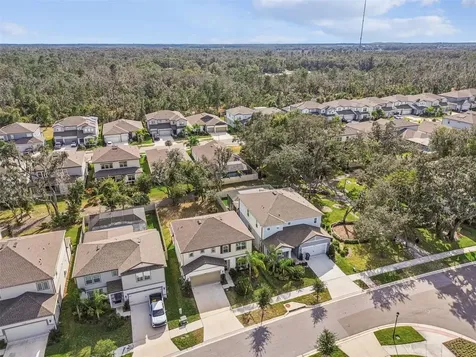14161 Hammock Crest Way Riverview FL 33569