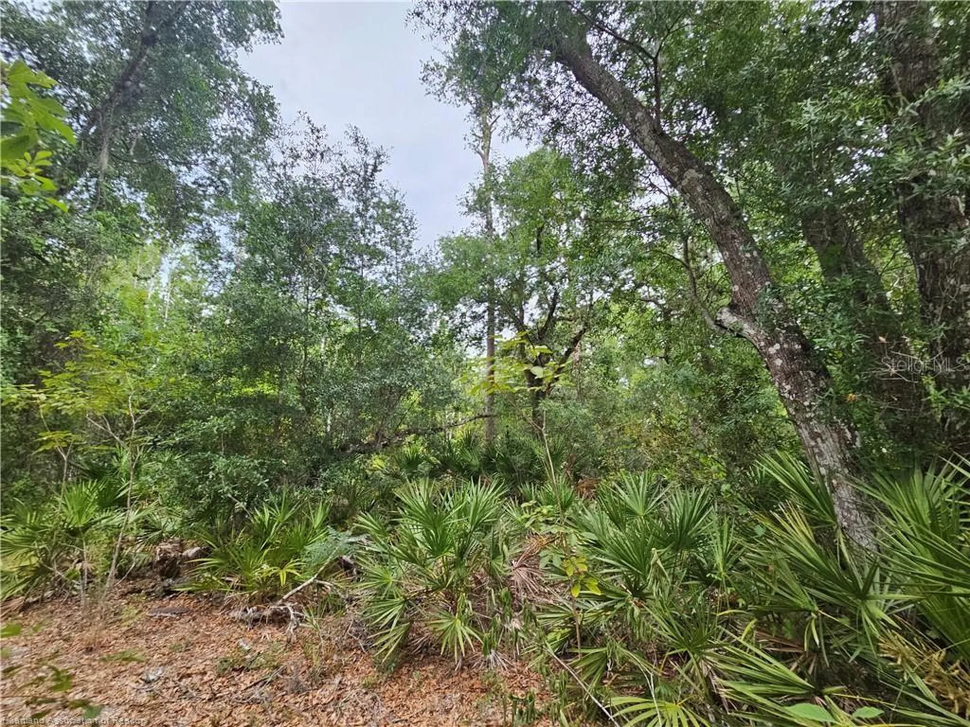 12000 Us-98 Sebring FL 33876