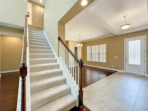 1315 Dusty Pine Drive Apopka FL 32703