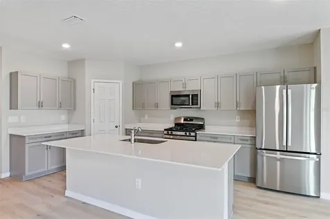 31670 Baronne Street Wesley Chapel FL 33545