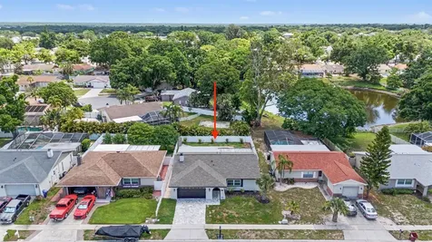 2333 Citrus Hill Road Palm Harbor FL 34683