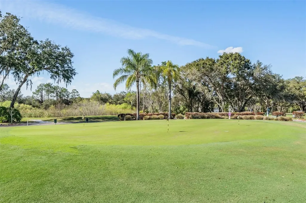 9413 Summerbreeze Terrace New Port Richey FL 34655