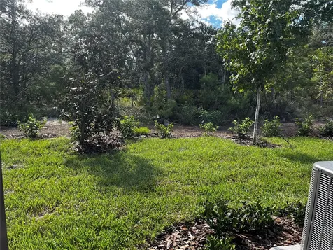1427 Serendipity Lane Clermont FL 34714