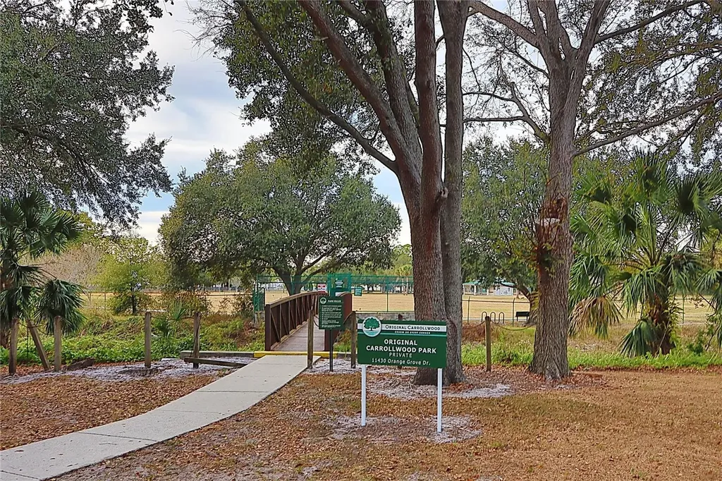 3307 Nakora Drive Tampa FL 33618