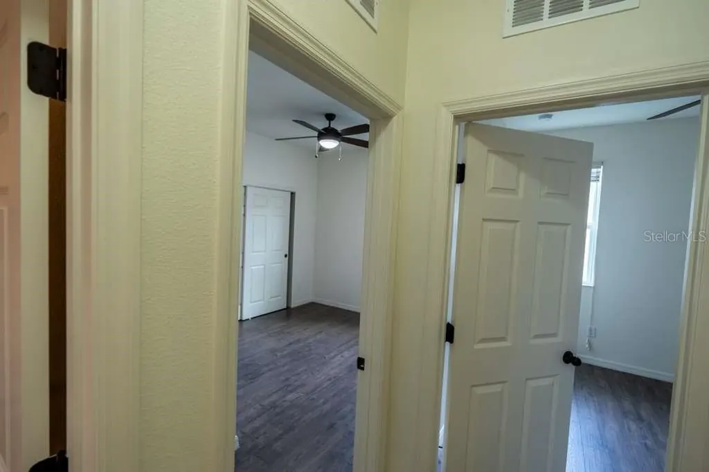 11517 Palmetto Sands Court Tampa FL 33626