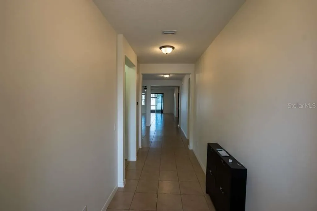 11517 Palmetto Sands Court Tampa FL 33626