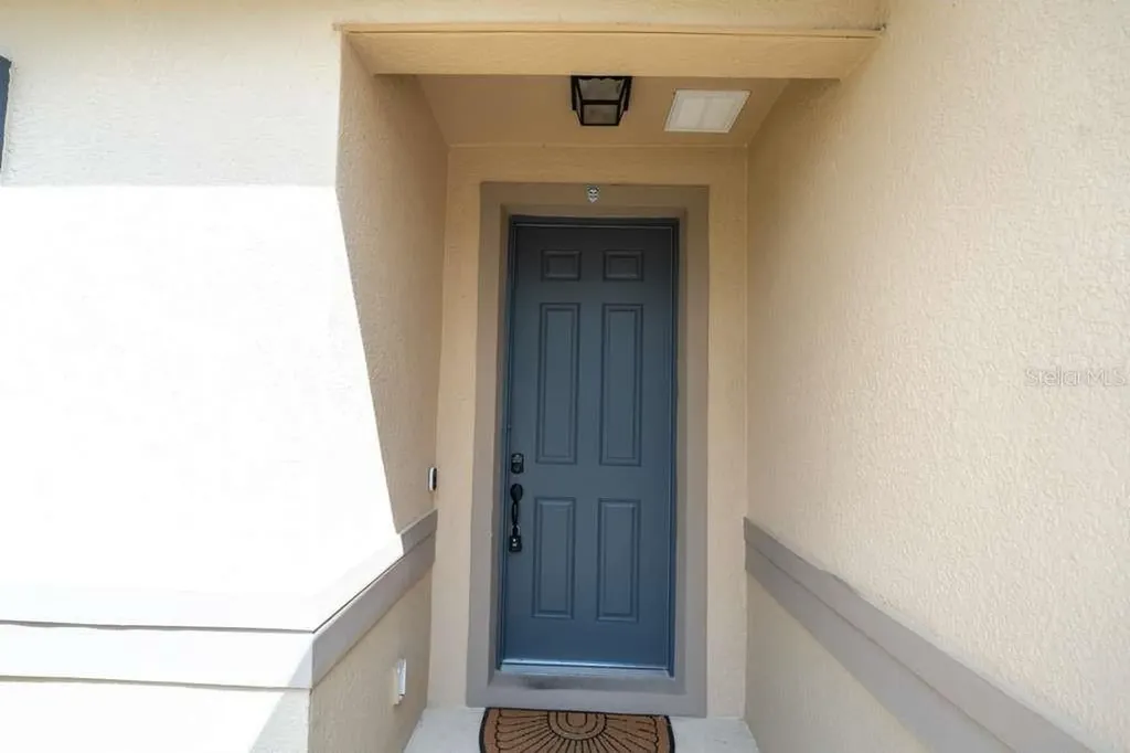 11517 Palmetto Sands Court Tampa FL 33626