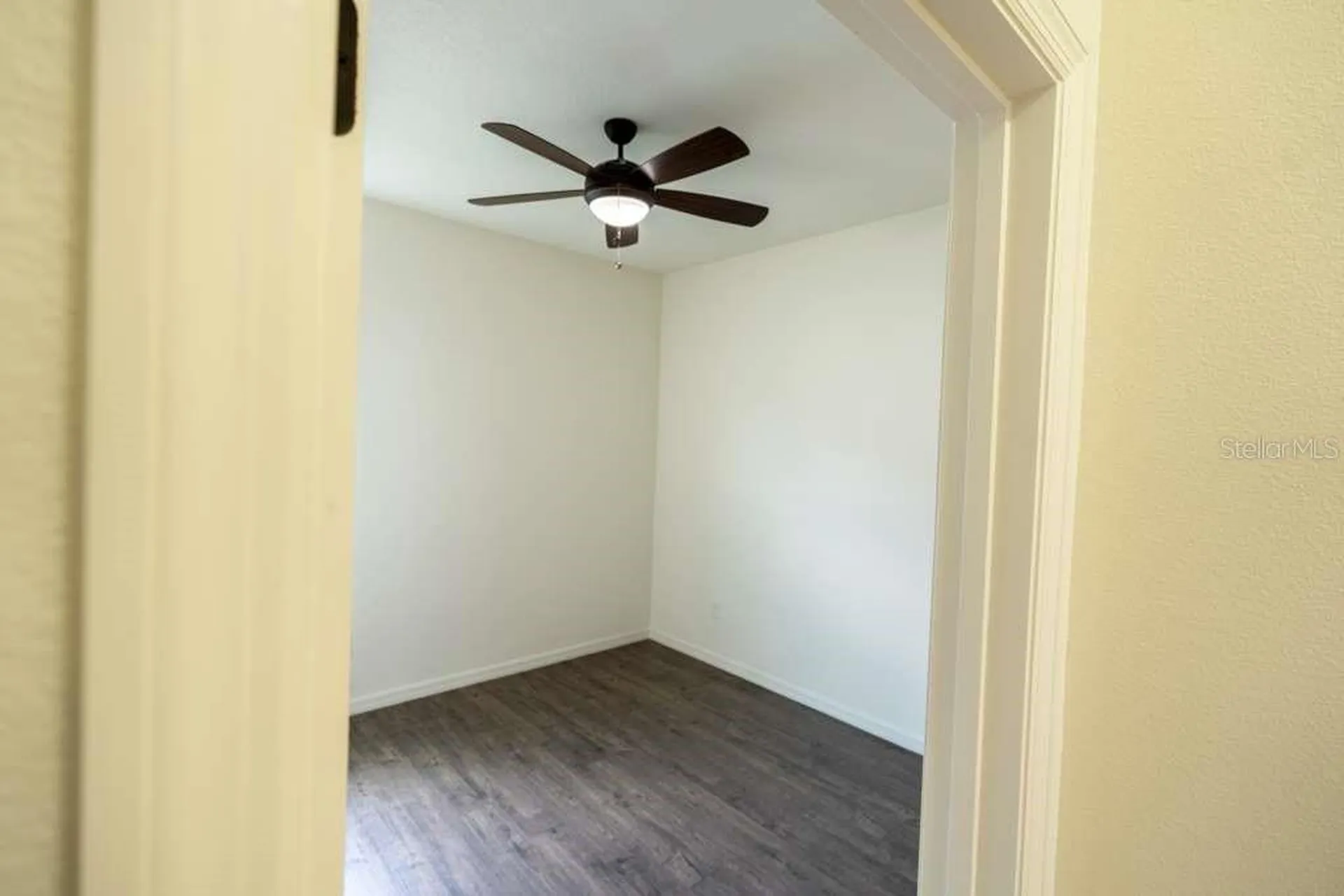 11517 Palmetto Sands Court Tampa FL 33626