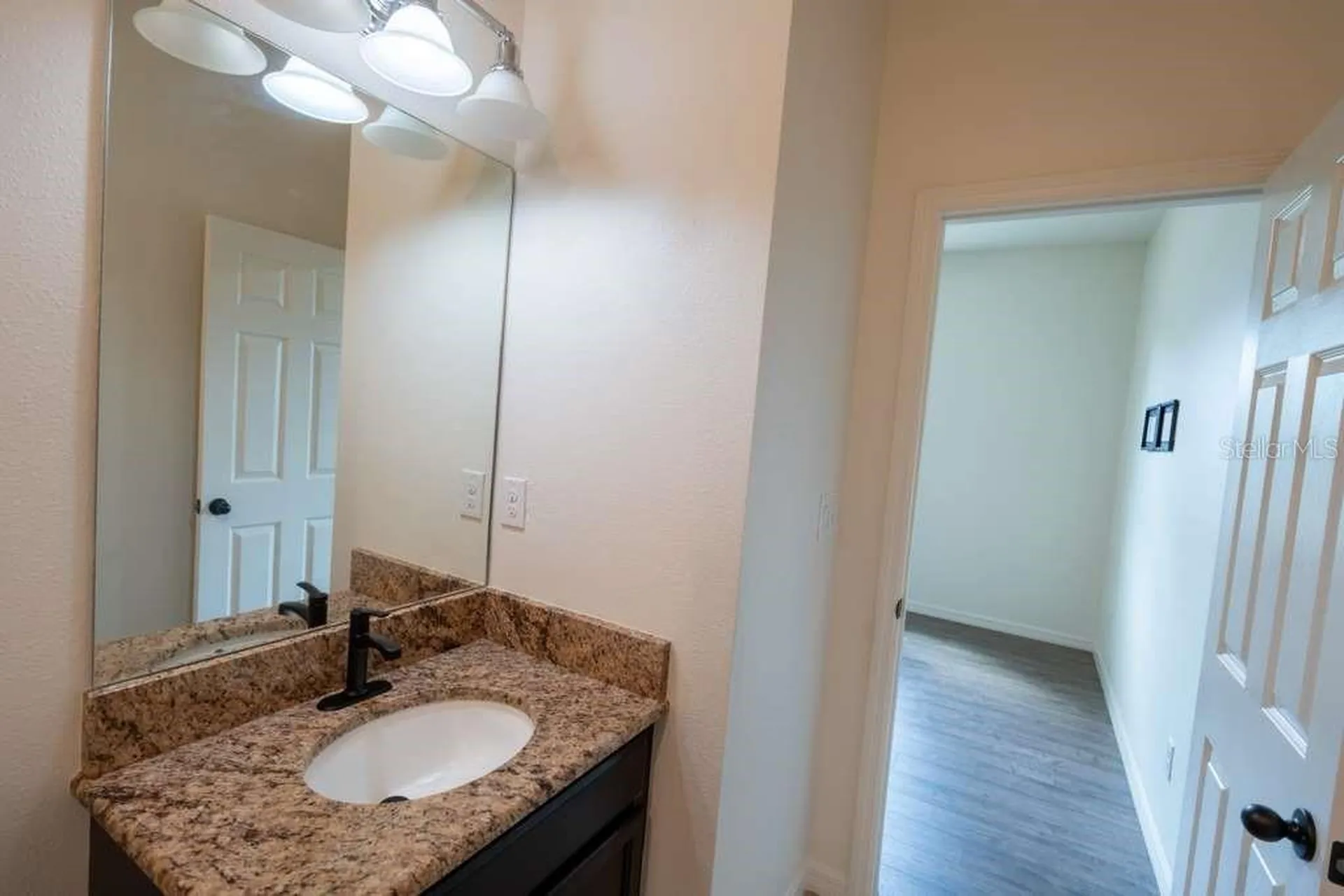 11517 Palmetto Sands Court Tampa FL 33626