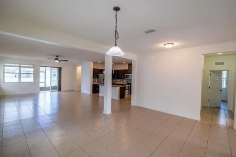 11517 Palmetto Sands Court Tampa FL 33626
