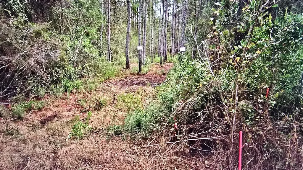 00 Memory Lane Milton FL 32583