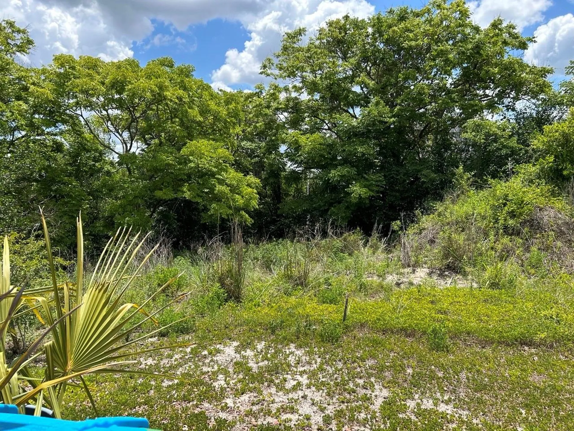 2055 E Prairie Circle #50 Deltona FL 32725