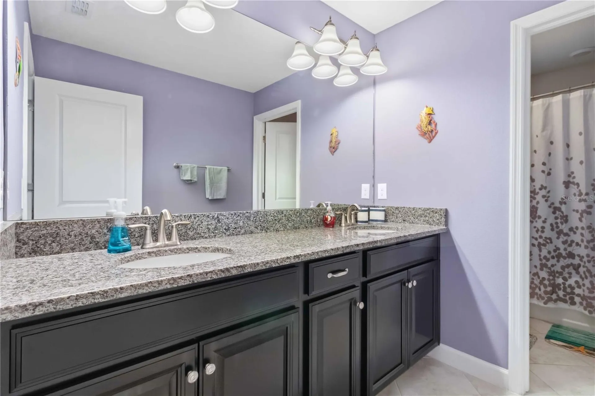 9918 Ivory Drive Ruskin FL 33573