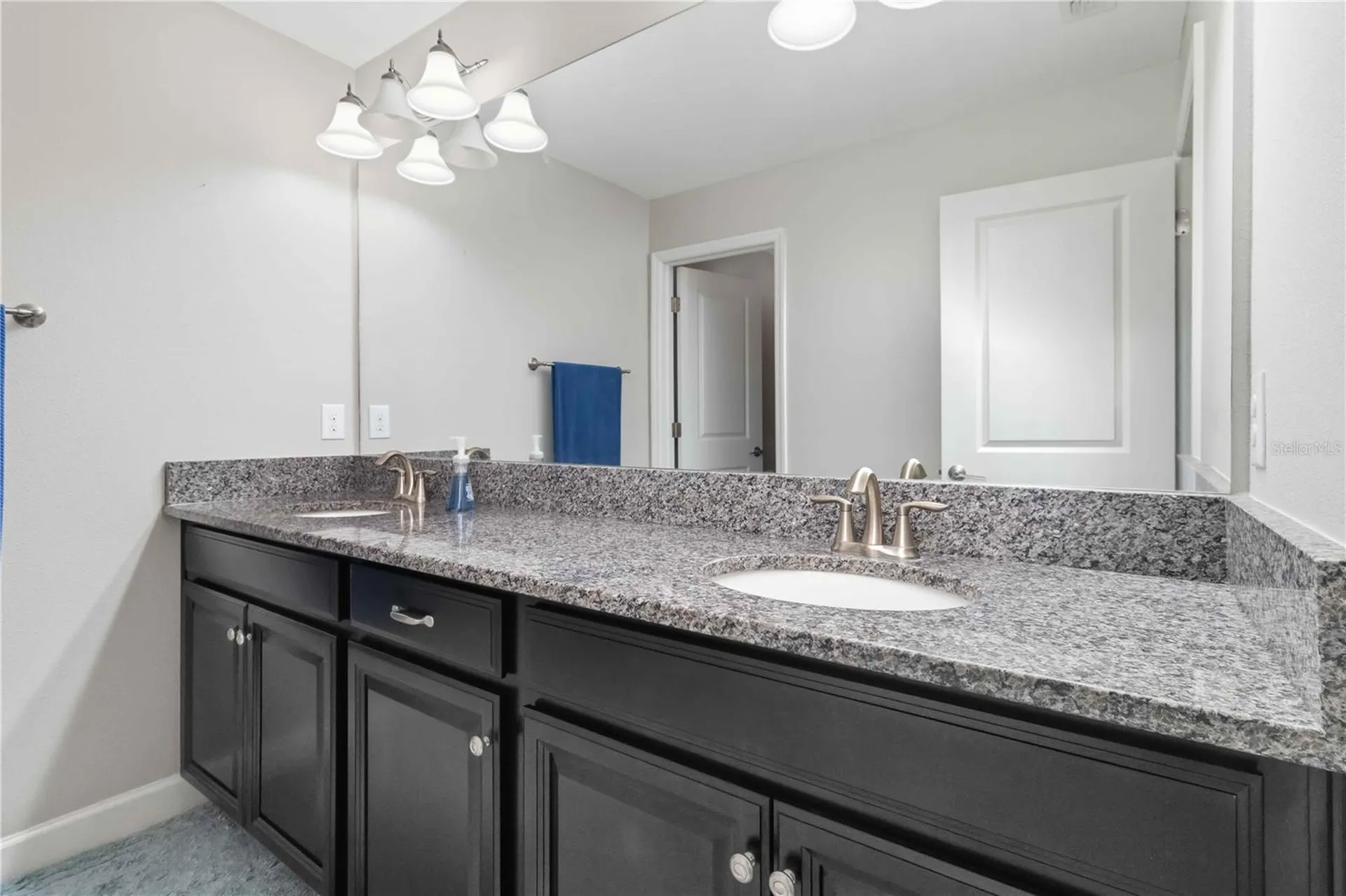 9918 Ivory Drive Ruskin FL 33573