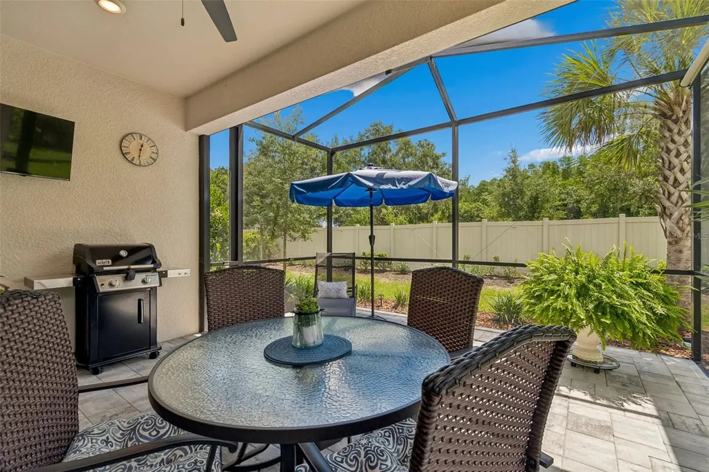 4534 Garofalo Road Wesley Chapel FL 33543