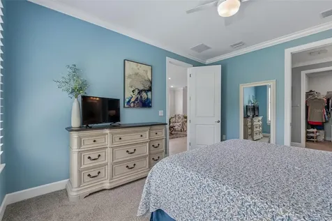 4534 Garofalo Road Wesley Chapel FL 33543