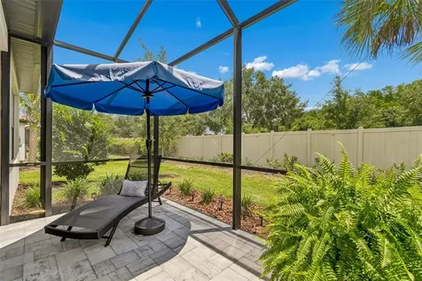 4534 Garofalo Road Wesley Chapel FL 33543