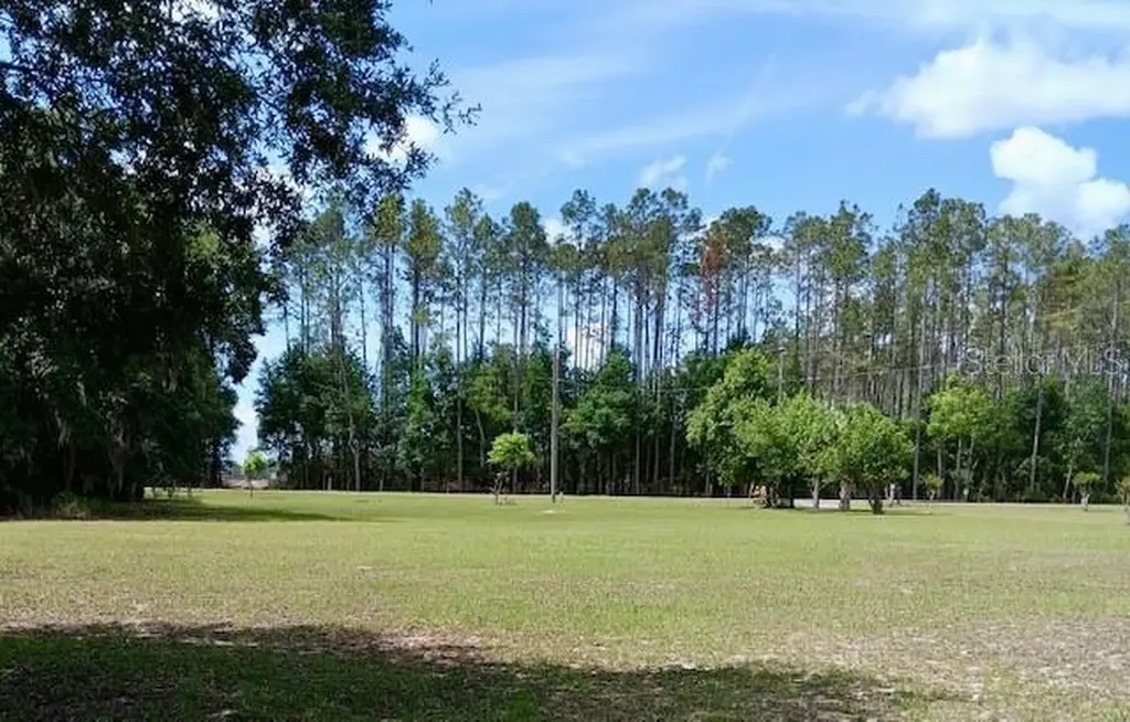 17749 SE 156th Place Road Weirsdale FL 32195