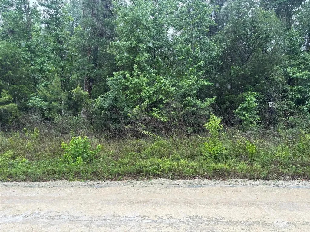 0000 SW 7th Lane Ocala FL 34481