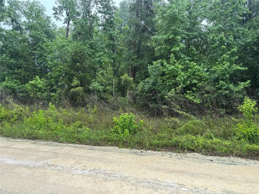 0000 SW 7th Lane Ocala FL 34481