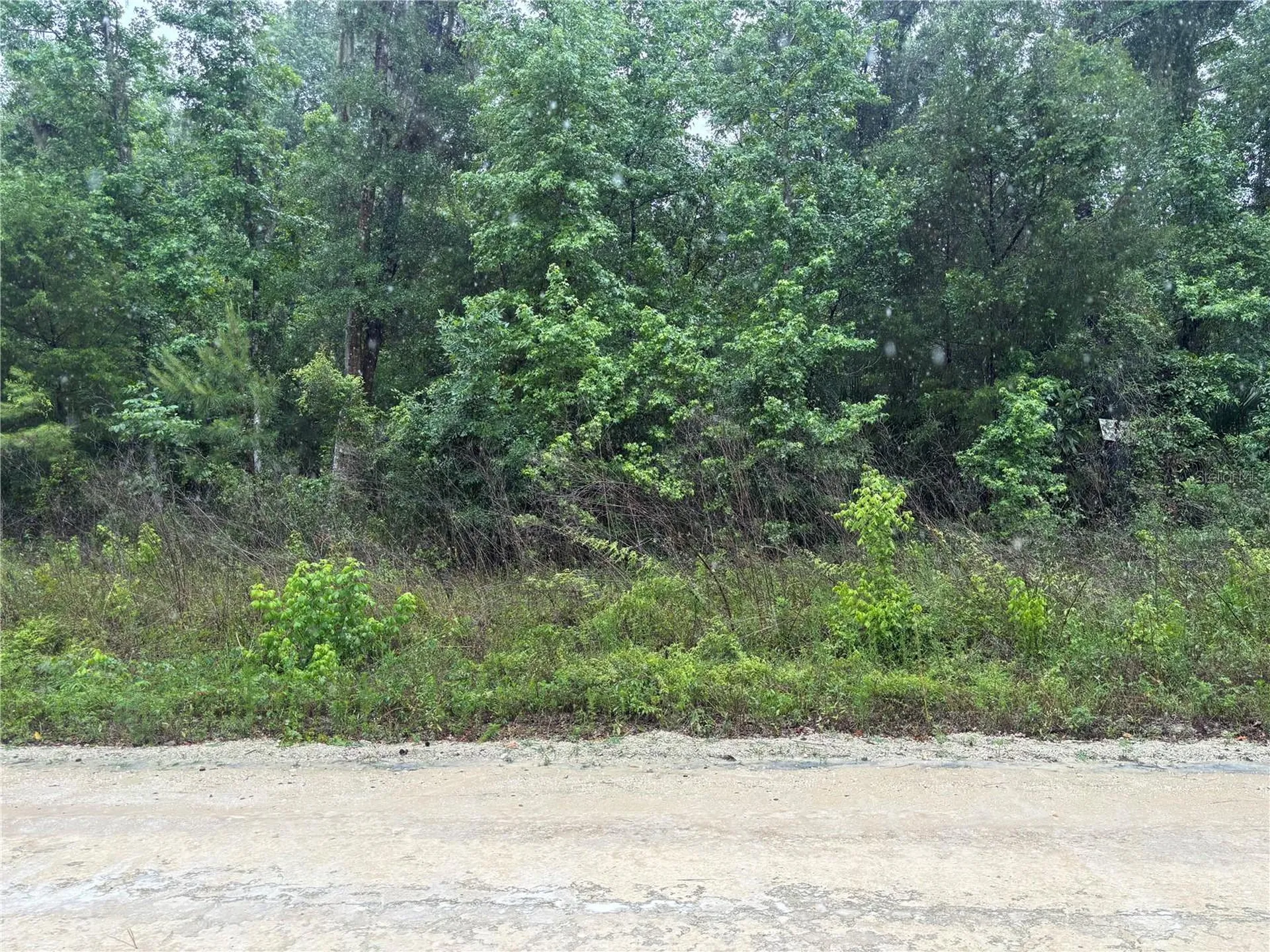 0000 SW 7th Lane Ocala FL 34481