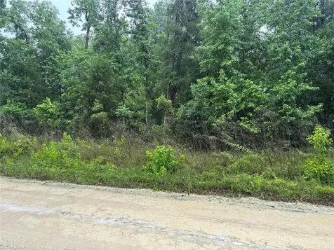 0000 SW 7th Lane Ocala FL 34481