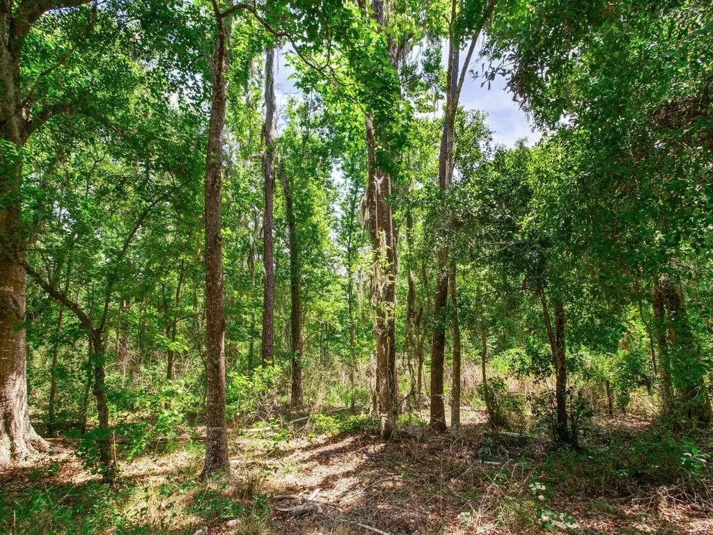 Spring Lake Highway Brooksville FL 34602